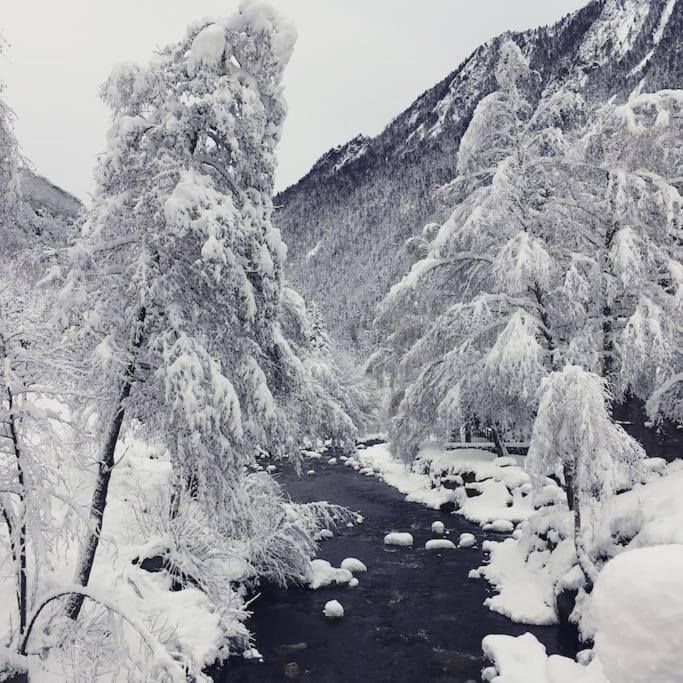 Chalet De Charme A Saint Lary - Vignec Dış mekan fotoğraf